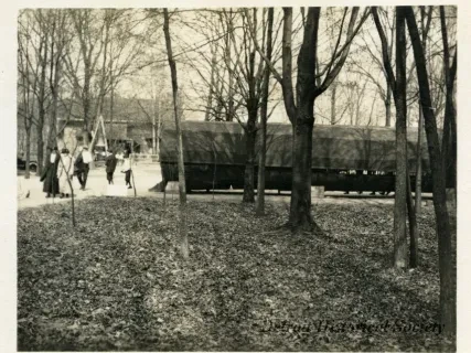 Print, Photographic