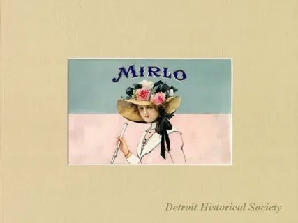 Drawing - Mirlo
