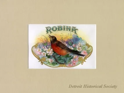 Drawing - Robina