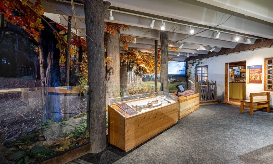 Origins exhibit