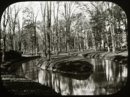 Transparency, Lantern-slide - November, Detroit - Bell Isle