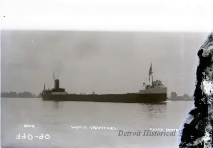 Negative, Glass-plate