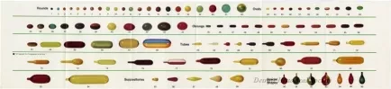 Chart - Specification For Gelatin Capsules