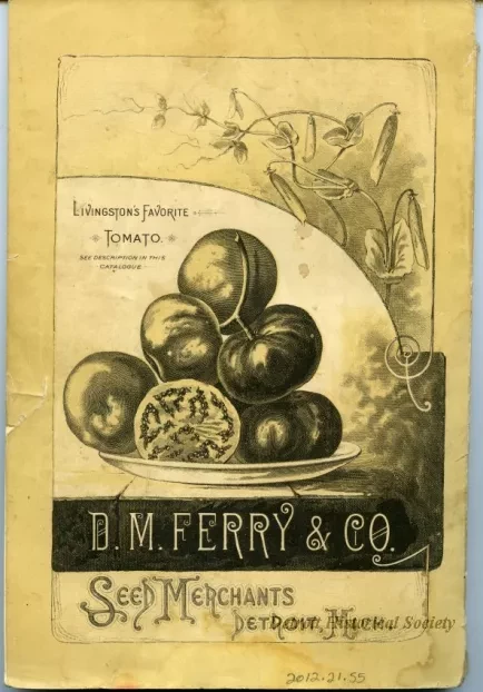 Catalog - Seed Annual 1884