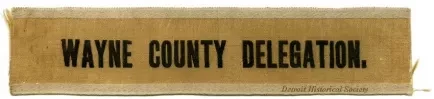 Ribbon, Political