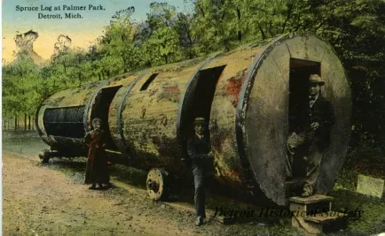 Postcard - Spruce Log at Palmer Park, Detroit, Mich.