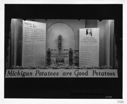 Print, Photographic