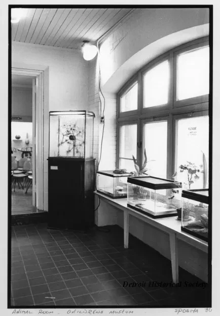 Print, Photographic - Animal Room - Children's Museum