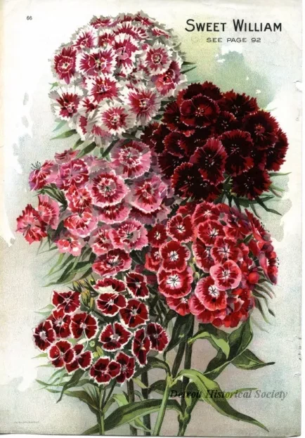 Engraving