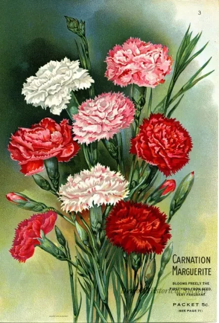 Engraving