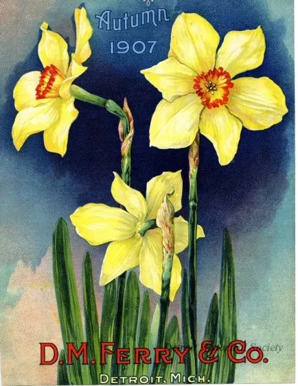 Engraving