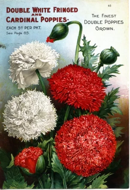 Engraving