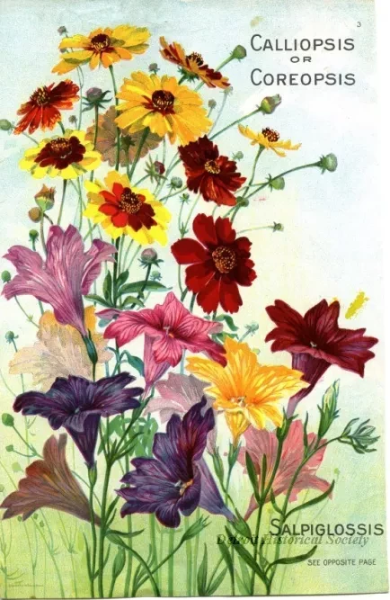 Engraving