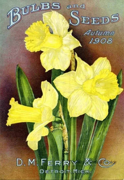 Engraving