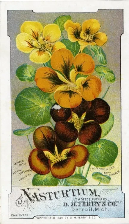 Card, Trade