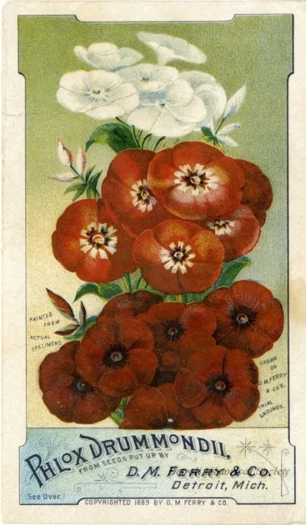 Card, Trade