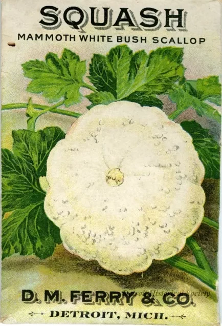 Packet, Seed