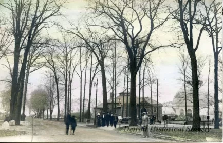 Postcard