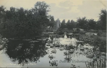 Postcard - Lily Pond, Belle Isle Park