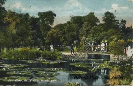 Postcard - Lily Pond, Belle Isle, Detroit, Mich.