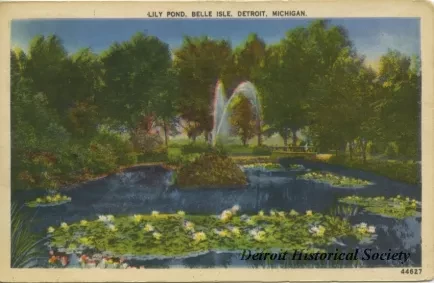 Postcard - Lily Pond, Belle Isle, Detroit, Mich.