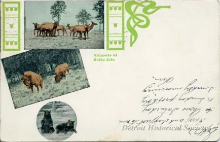 Postcard - Animals at Belle Isle