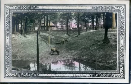Postcard