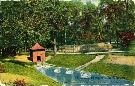 Postcard - Swans on Canal, Belle Isle, Detroit, Mich.