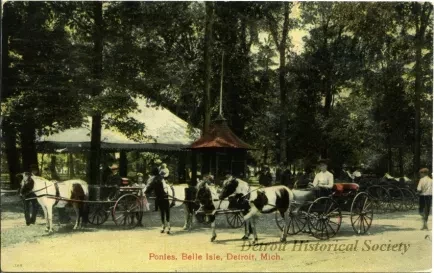 Postcard - Ponies, Belle Isle, Detroit, Mich.
