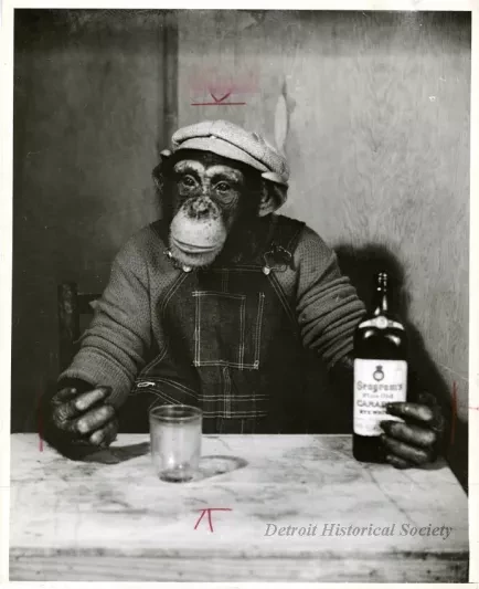 Print, Photographic