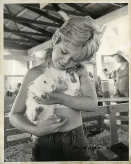 Print, Photograph