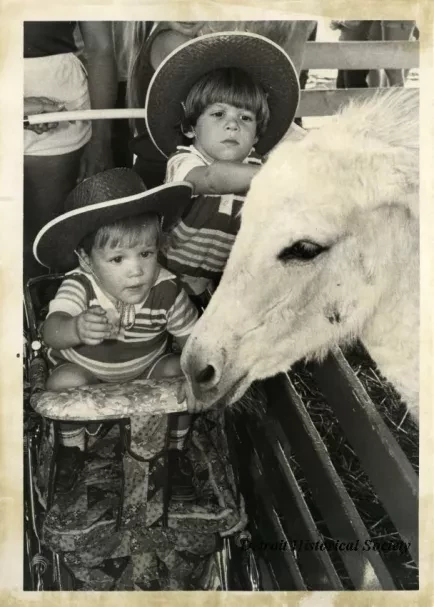 Print, Photograph