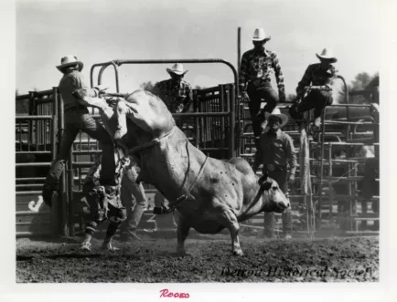 Print, Photograph
