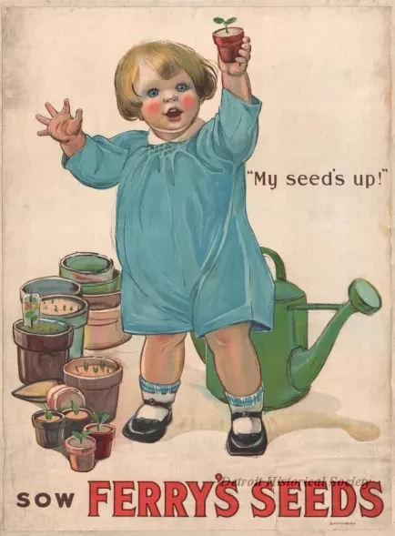 Poster - My Seeds Up!