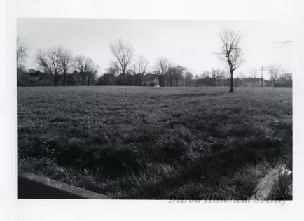 Print, Photographic - 2400 Block Selden and 3900 Block 16th, Detroit, Mi