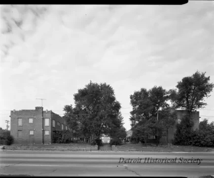 Negative, Film