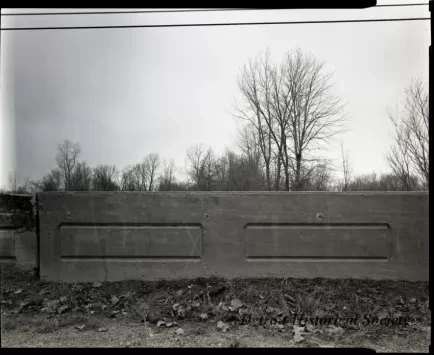 Negative, Film