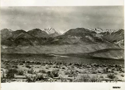 Print, Photographic