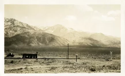 Print, Photographic