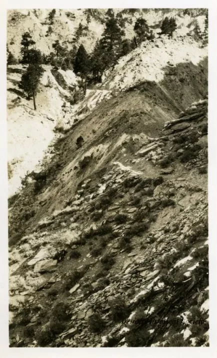 Print, Photographic