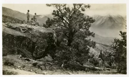 Print, Photographic
