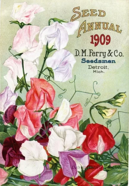 Catalog - Seed Annual 1909