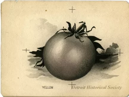 Lithograph