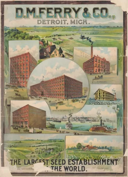 Poster - D. M. Ferry & Co., Detroit, Mich. -
The Largest Seed Establishment in the World