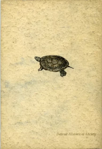 Catalog