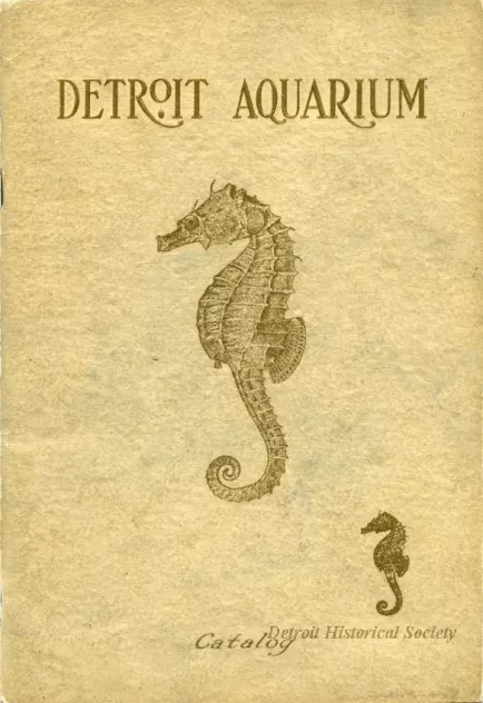 Catalog