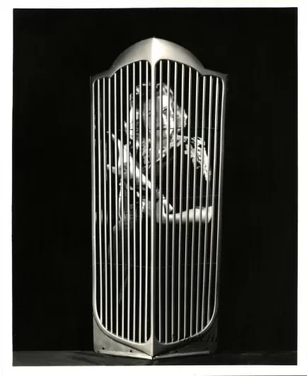 Print, Photographic