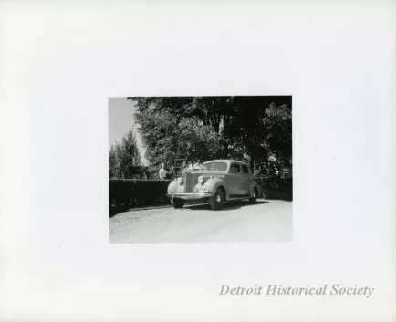 Print, Photographic
