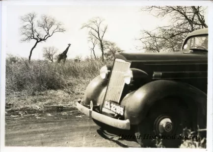 Print, Photographic