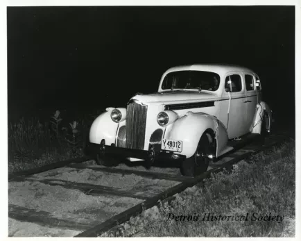 Print, Photographic